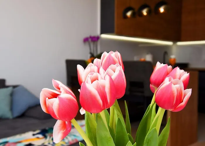 Διαμέρισμα Luna Ζαντάρ