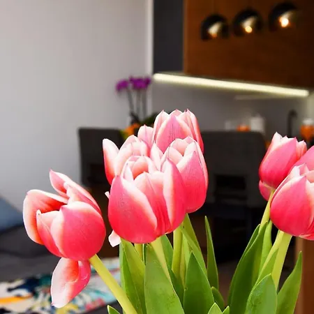 Apartmán Luna Zadar